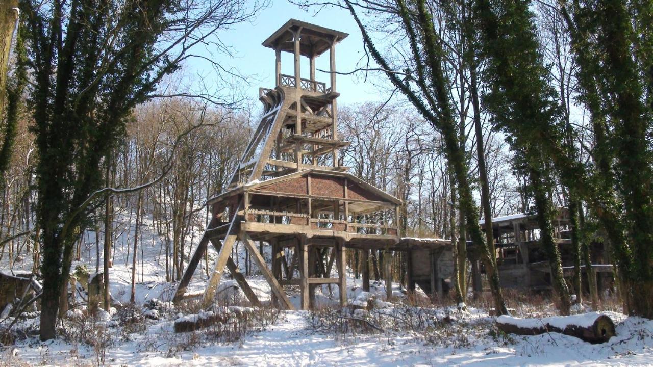 Le Cottage Quievrain Екстериор снимка